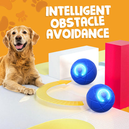 Sugoola® Interactive Pet Toys for Dog & Cat Durable Automatic Bouncing & Rolling Ball